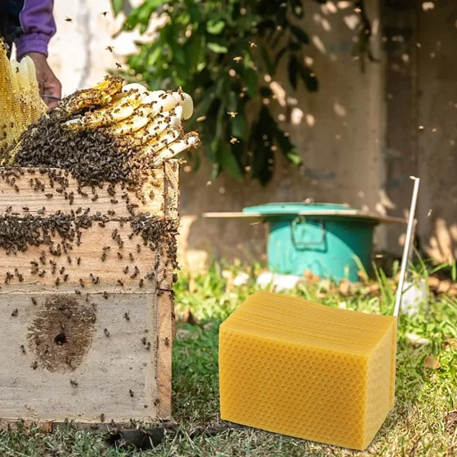 Forniture per alveare Fondotin - Beeswax Sheet Roll recensione e prezzo