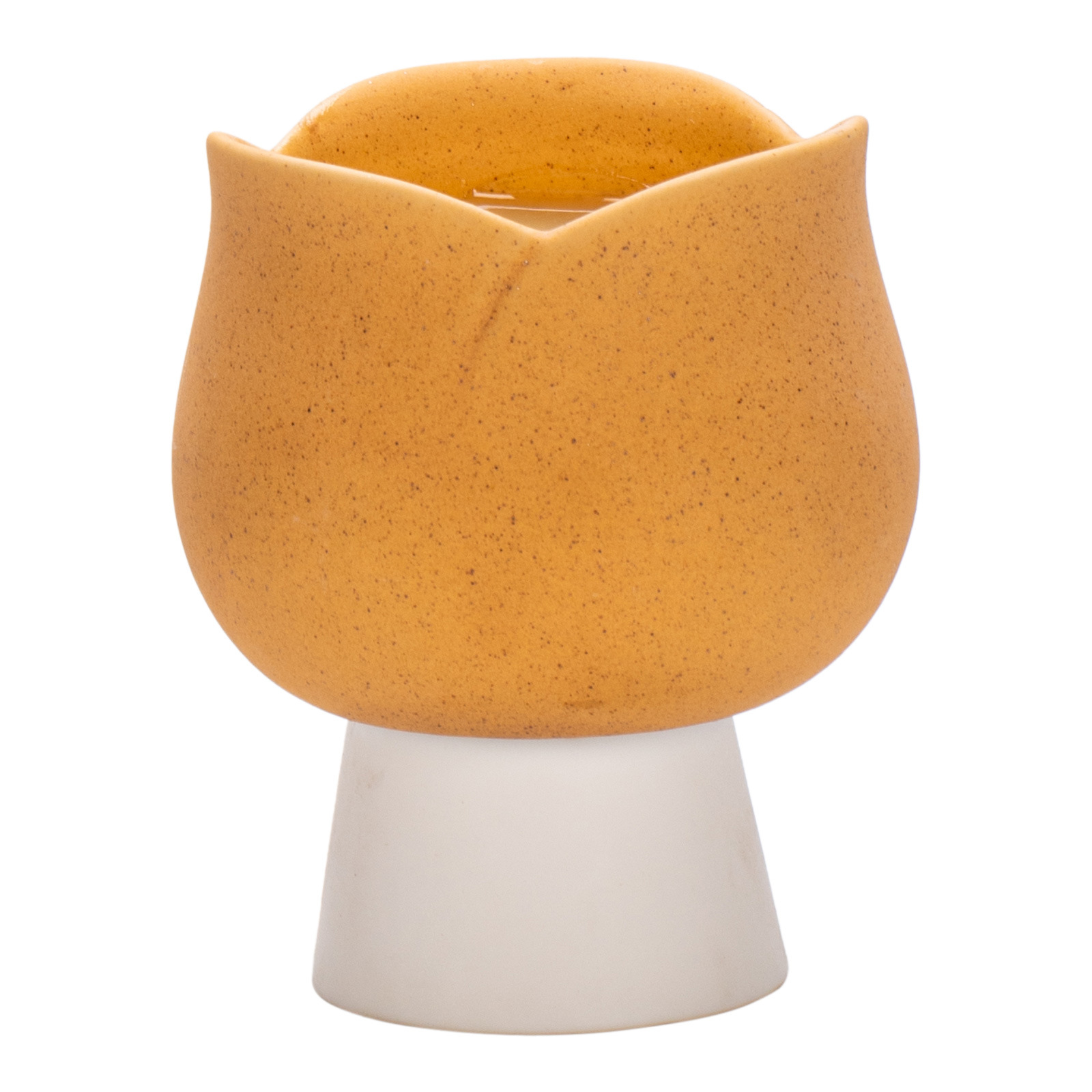 Europa Bellissimi tulipani Por - Candle Supplies Europe recensione e prezzo