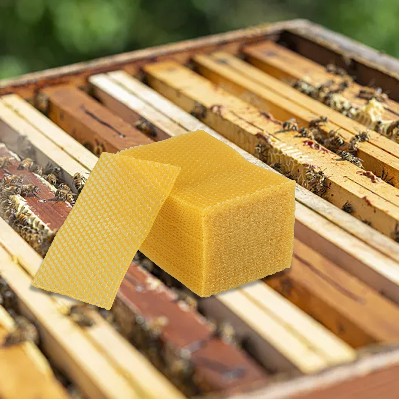 Fogli di cera d'api per fondam - Beeswax Sheet Roll recensione e prezzo